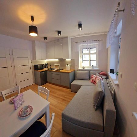 Apartament Przy Deptaku 耶莱尼亚古拉 外观 照片