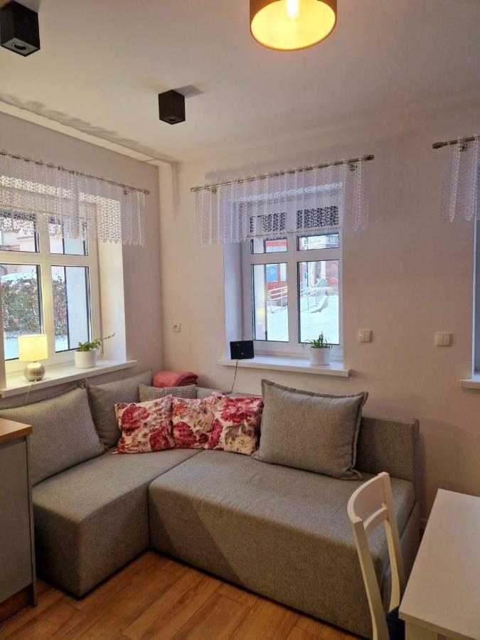 Apartament Przy Deptaku 耶莱尼亚古拉 外观 照片
